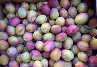 Picture of Victoria Plums