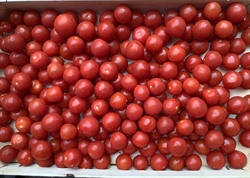 Picture of Cherry Tomatoes