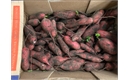 Picture of Red Dragon Mooli Radishes