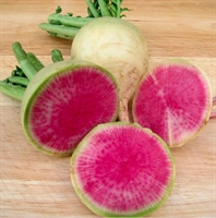 Picture of Watermelon Radishes