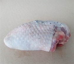 Picture of Boneless Turkey Thigh