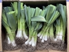 Picture of Baby Leeks, bunched