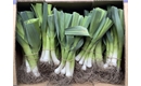Picture of Baby Leeks, bunched