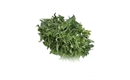 Picture of Oregano Bunched