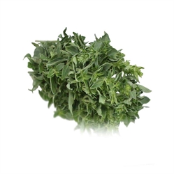 Picture of Oregano Bunched