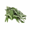 Picture of Sage Bunched