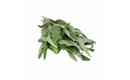 Picture of Sage Bunched