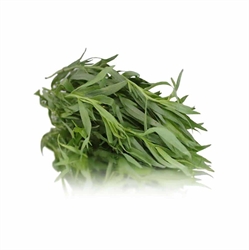 Picture of Tarragon Bunched