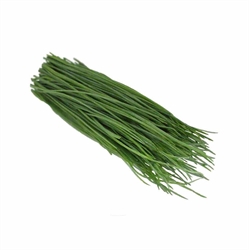 Picture of Chives Bunched