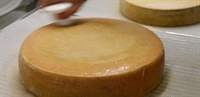 Picture of Ashcombe Cheese