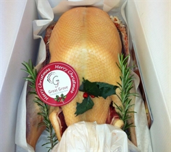 Picture of Somerset Thanksgiving Goose