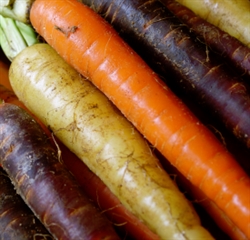 Picture of Rainbow Carrots (washed)