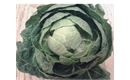 Picture of Brussel Sprout Top