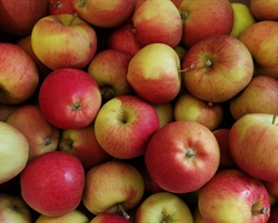 Picture of Mairac Apples