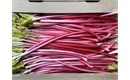 Picture of Forced Rhubarb Class 2