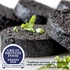 Black Pudding Stick