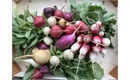 Picture of Cherry Bell Radishes (loose)