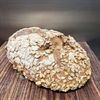 Picture of Muesli Sourdough