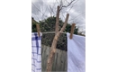 Picture of Hazel Washing Line Prop
