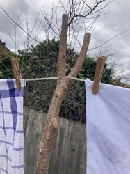 Picture of Hazel Washing Line Prop