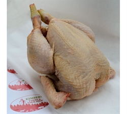 Picture of Whole Chicken
