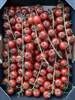 Picture of Cherry Vine Tomatoes