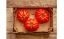 Picture of Coeur de Boeuf Tomatoes