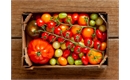 Picture of Mixed Heritage Tomatoes