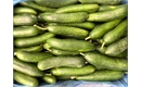 Picture of Cucumber
