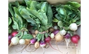 Picture of Cherry Bell Radishes (Bunch)