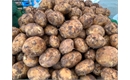 Picture of Wilja Potatoes