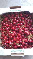 Picture of Scottish Merchant Cherries