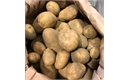 Picture of Swift New Potatoes
