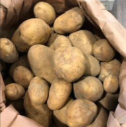 Picture of Maris Bard New Potatoes