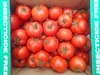 Picture of Round Tomatoes