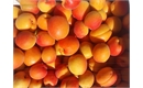 Picture of Kentish Apricots Class 1