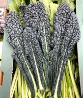 Picture of Cavolonero Kale