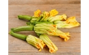 Picture of Courgette Flower