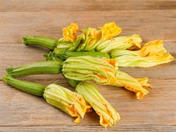 Picture of Courgette Flower