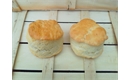 Picture of Plain Scone