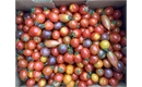 Picture of Mixed  Heirloom Tomatoes