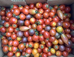 Picture of Mixed  Heirloom Tomatoes