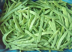 Picture of Flat French Beans