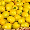 Picture of Yellow Salad Tomatoes