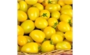 Picture of Yellow Salad Tomatoes