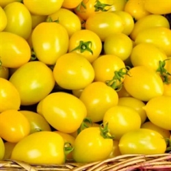 Picture of Yellow Salad Tomatoes