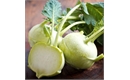 Picture of White Kohl Rabi