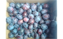 Picture of Laxton Cropper Plums