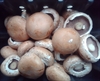 Picture of Brown Portobello Mushrooms
