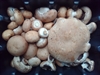 Picture of Capel Cooking Mushrooms